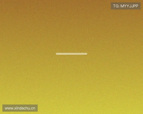 韩国体育官方网站全方位解析助你掌握最新赛事动态与资讯